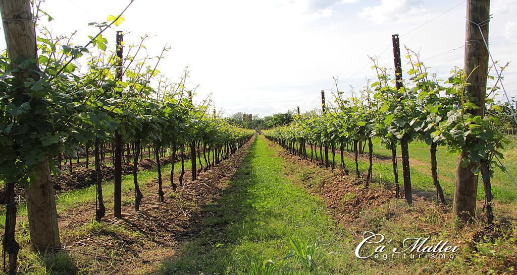 Agriturismo Ca'Mattei Pescantina Extérieur photo