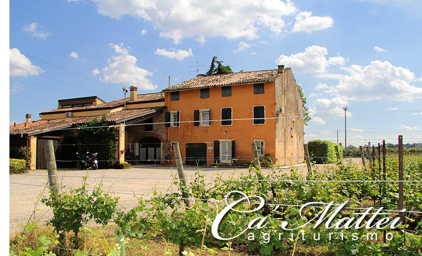 Agriturismo Ca'Mattei Pescantina Extérieur photo